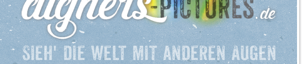 dignersFONDretro2Montage